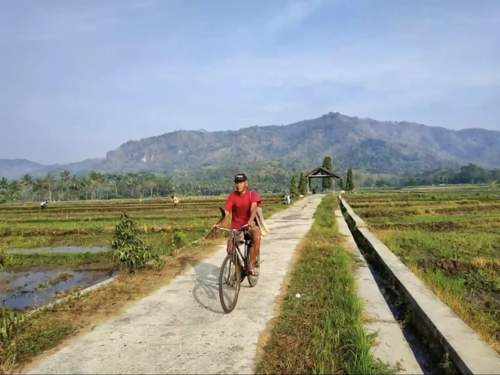 Desa wisata Banjarasri adalah wisata hidden gems jogja yang sangat sayang untuk dilewatkan