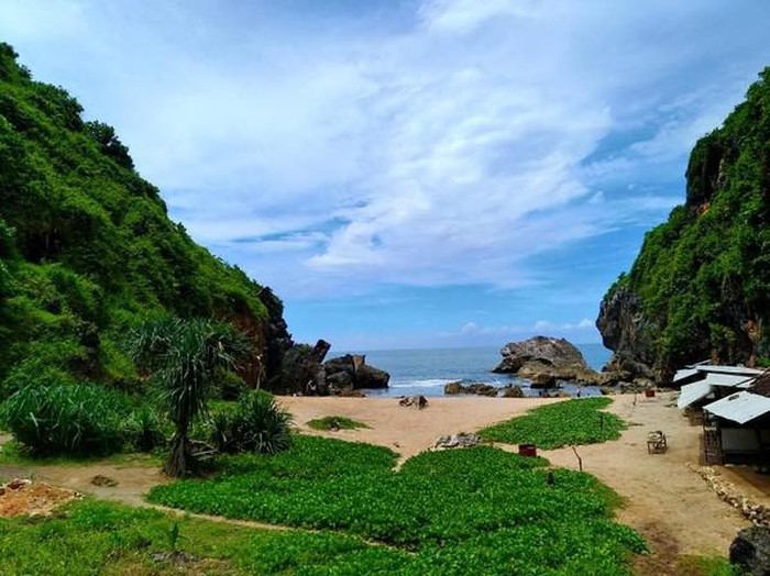 pentai yang dipenuhi dengan tumbuhan hijau dan laut biru